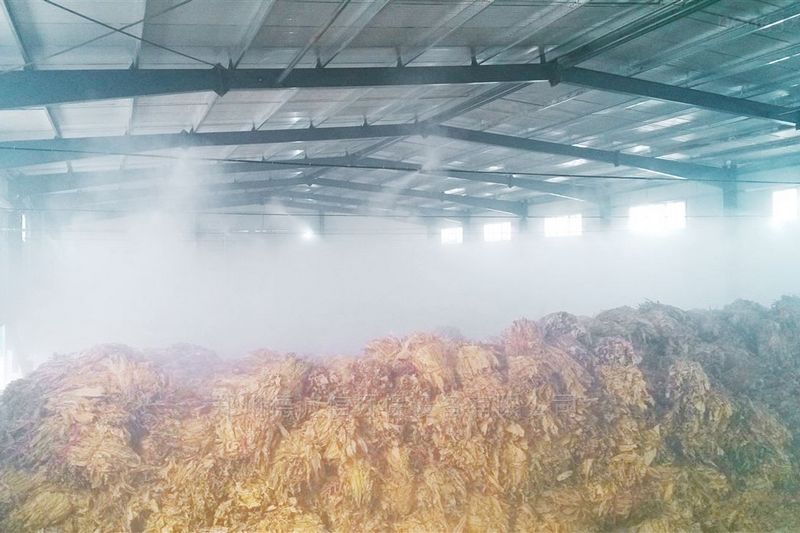 提升煙葉加工質(zhì)量，高效回潮很重要