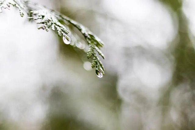 空氣濕度大帶來(lái)的危害有哪些，你知道嗎？