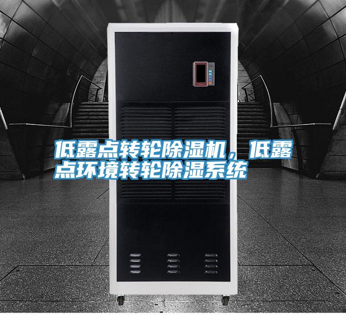 低露点转轮除湿机，低露点环境转轮除湿系统