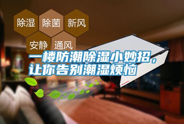 一楼防潮除湿小妙招，让你告别潮湿烦恼
