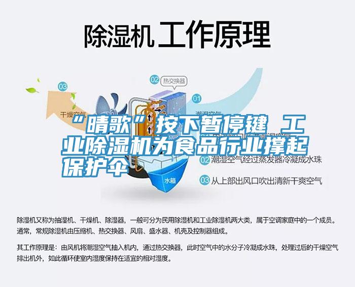 “晴歌”按下暂停键 工业除湿机为食品行业撑起?；ど?></div>
								<div class=