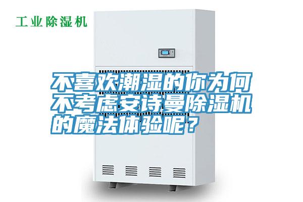 不喜欢潮湿的你为何不考虑安诗曼除湿机的魔法体验呢？