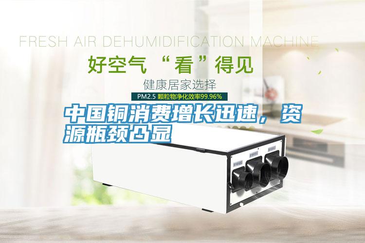 中国铜消费增长迅速，资源瓶颈凸显