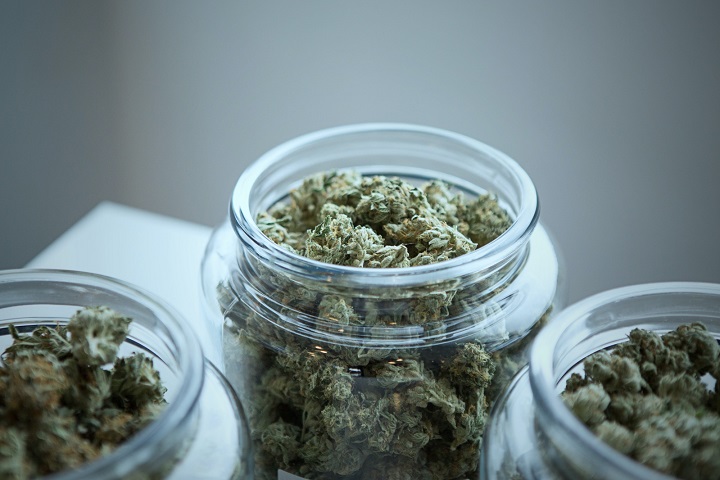 如何让中草药烘干过程“药性”不流失？