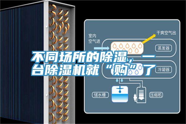 不同场所的除湿，一台除湿机就“购”了
