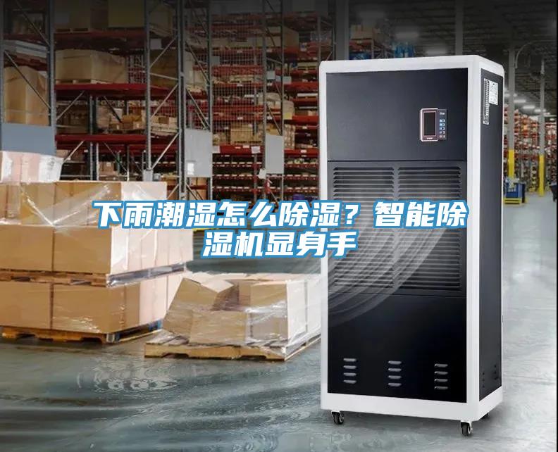 下雨潮湿怎么除湿？智能除湿机显身手