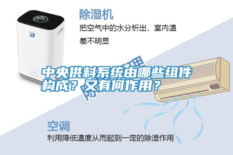 中央供料系统由哪些组件构成？又有何作用？