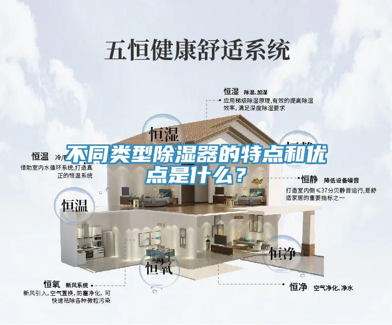不同类型除湿器的特点和优点是什么？
