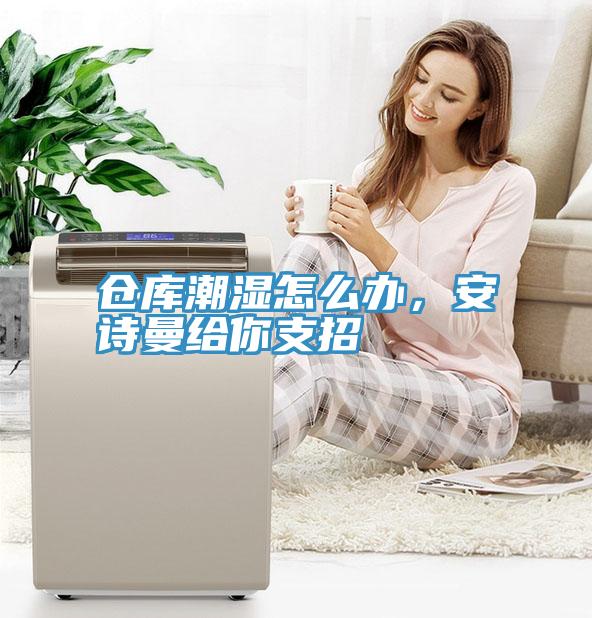 仓库潮湿怎么办，安诗曼给你支招