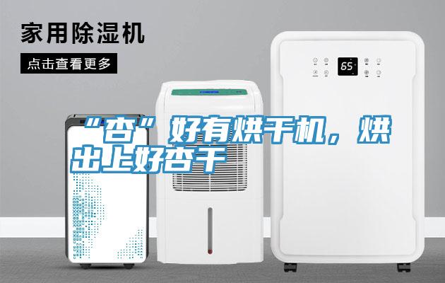 “杏”好有烘干机，烘出上好杏干