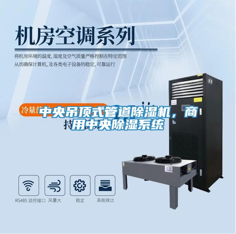 中央吊顶式管道除湿机，商用中央除湿系统