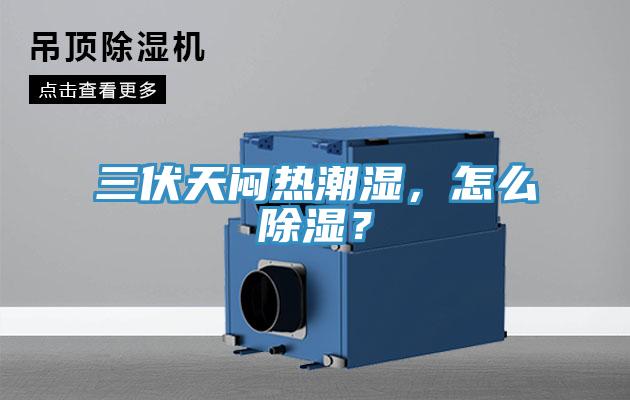 三伏天闷热潮湿，怎么除湿？