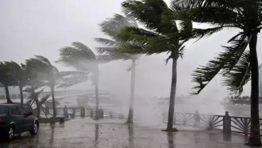 8月台风雨即将来，除湿机还得用起来