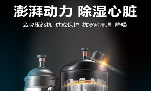 别吃了潮湿环境的亏，除湿机正确开启方式