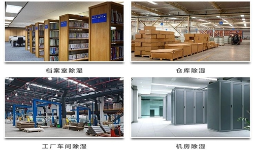 为什么竹笋烘干房需要除湿机？