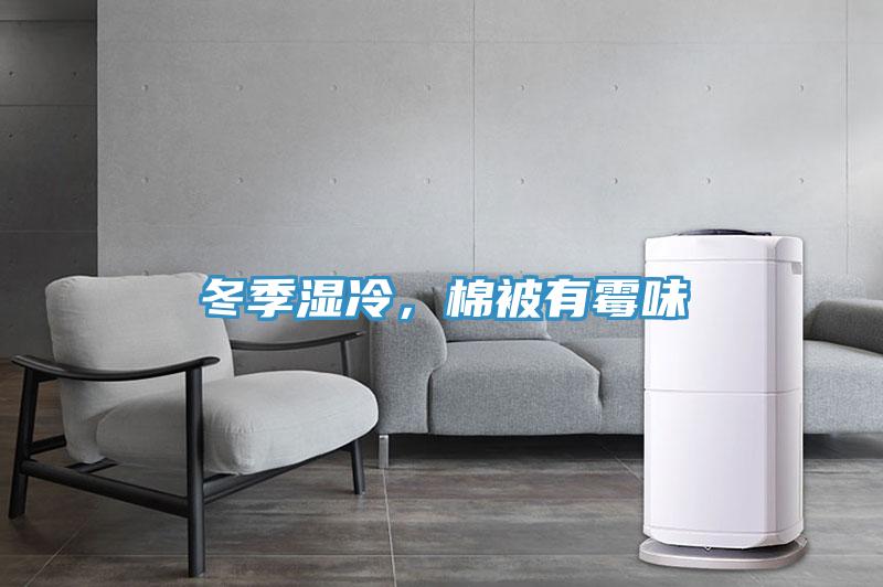冬季湿冷，棉被有霉味