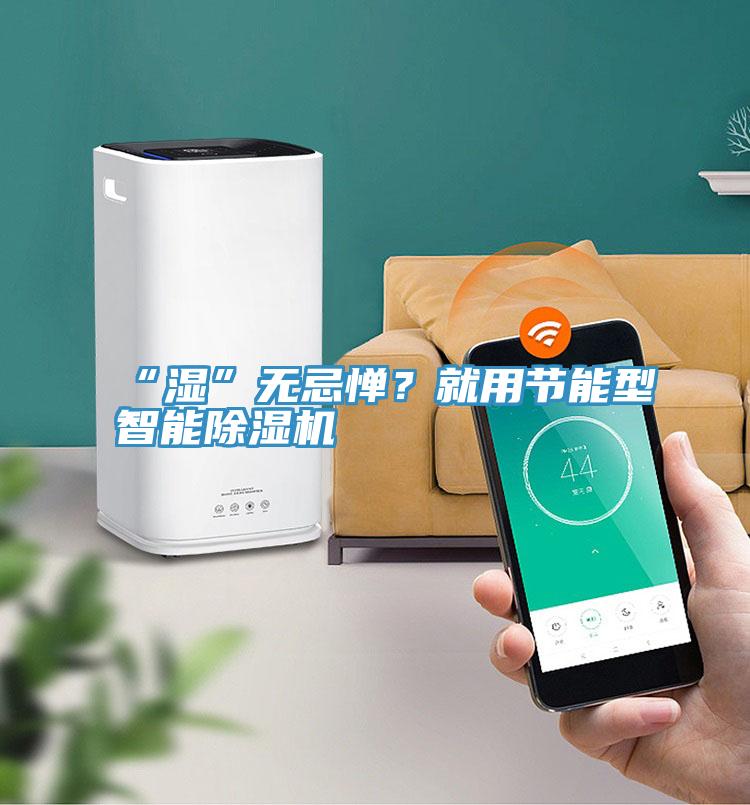 “湿”无忌惮？就用节能型智能除湿机
