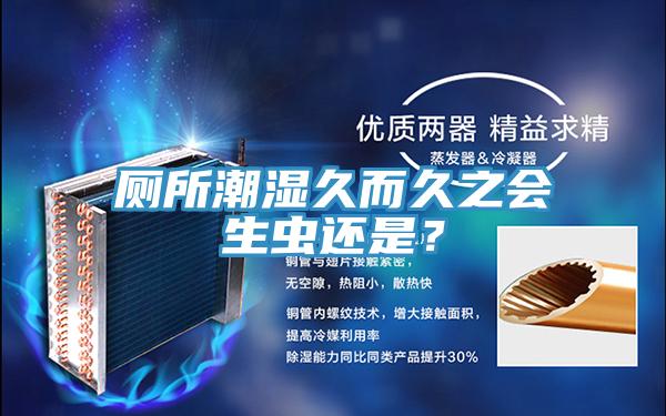 厕所潮湿久而久之会生虫还是？