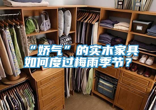 “娇气”的实木家具如何度过梅雨季节？