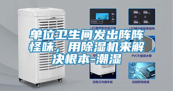 单位卫生间发出阵阵怪味，用除湿机来解决根本-潮湿
