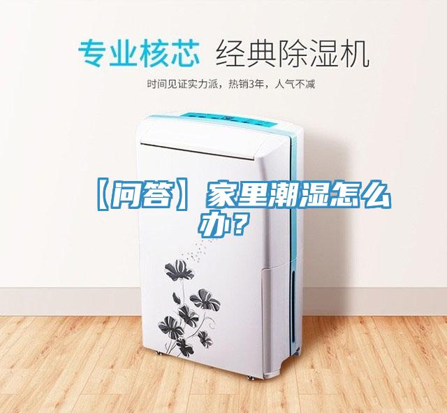 【問答】家里潮濕怎么辦？
