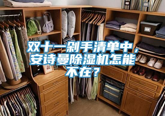 双十一剁手清单中，安诗曼除湿机怎能不在？