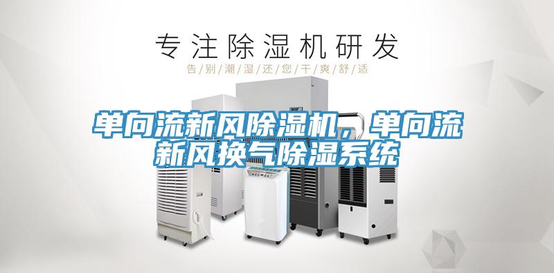 单向流新风除湿机，单向流新风换气除湿系统