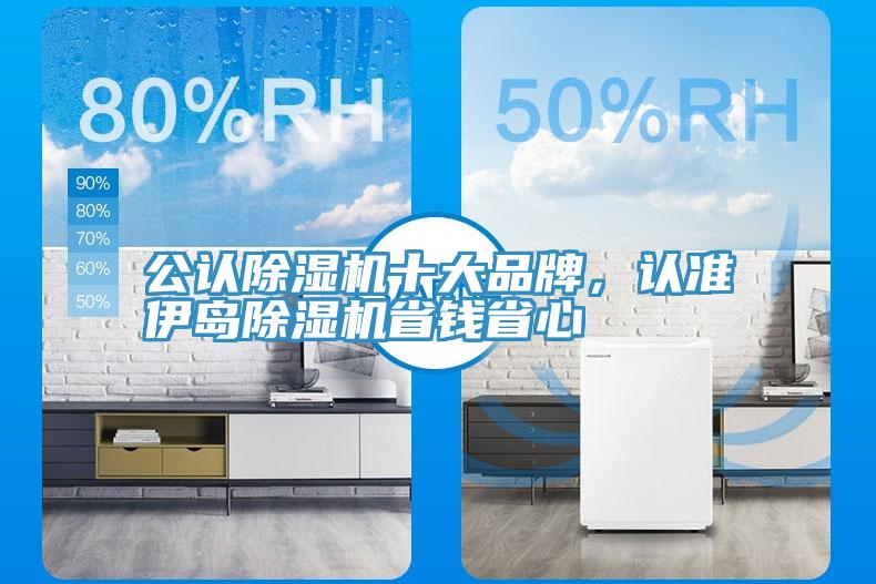 公认除湿机十大品牌，认准伊岛除湿机省钱省心