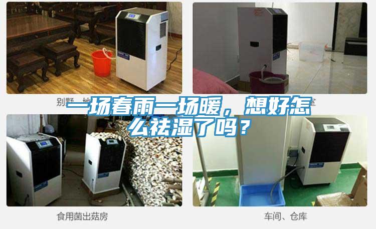 一场春雨一场暖，想好怎么祛湿了吗？