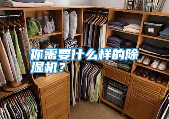 你需要什么樣的除濕機？