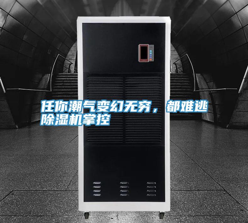 任你潮氣變幻無窮，都難逃除濕機掌控