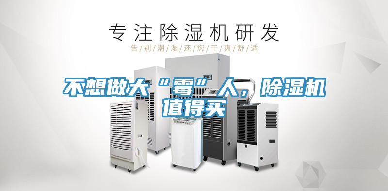 不想做大“霉”人，除湿机值得买