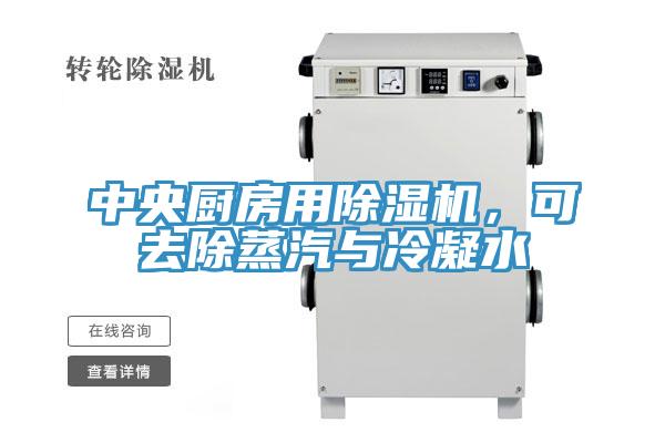 中央厨房用除湿机，可去除蒸汽与冷凝水