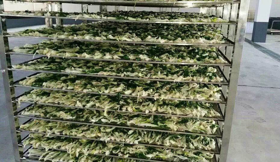 菜干需求一直都很大，蔬菜烘干機(jī)很有市場