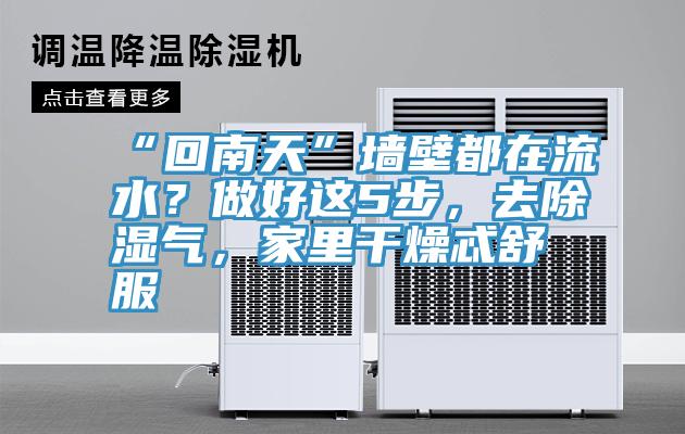 “回南天”墙壁都在流水？做好这5步，去除湿气，家里干燥忒舒服