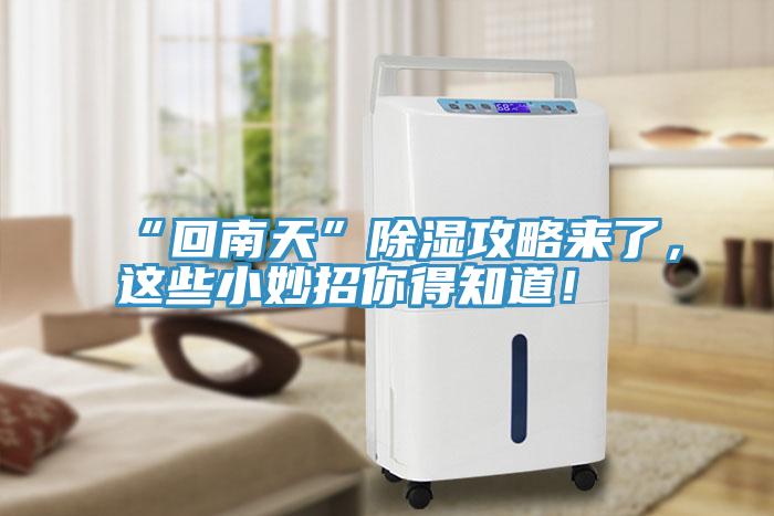 “回南天”除湿攻略来了，这些小妙招你得知道！