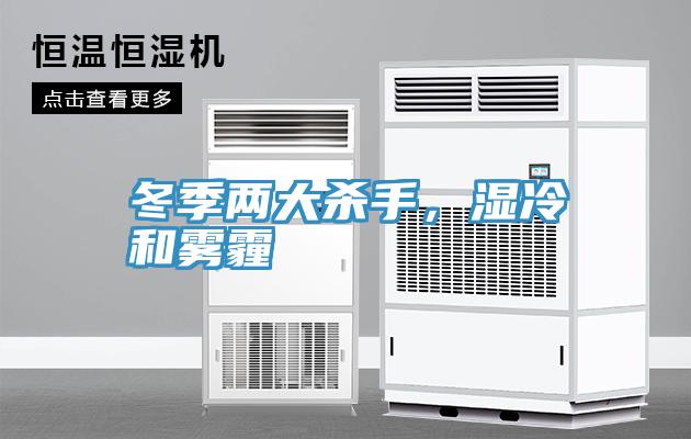 冬季两大杀手，湿冷和雾霾
