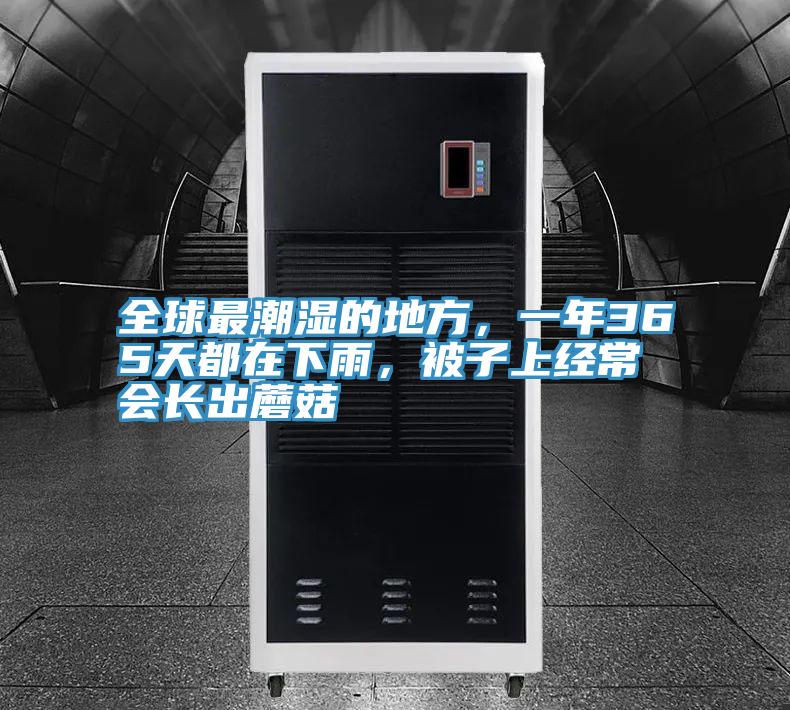 全球最潮湿的地方，一年365天都在下雨，被子上经?；岢こ瞿⒐?/></p>
                            <p style=