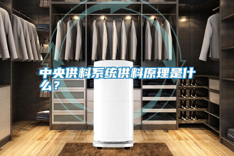 中央供料系统供料原理是什么？