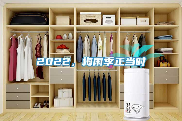 2022，梅雨季正当时