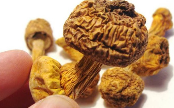 巴西菇、姬松茸烘干機(jī)-怎樣烘干色澤好且菇體褶片完整？