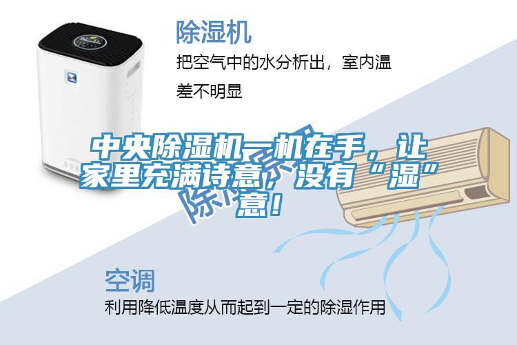 中央除湿机一机在手，让家里充满诗意，没有“湿”意！