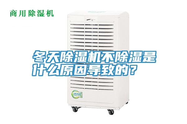 冬天除湿机不除湿是什么原因导致的？