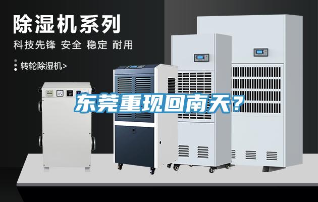 东莞重现回南天？