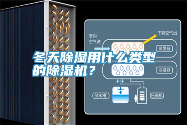 冬天除湿用什么类型的除湿机？