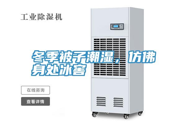冬季被子潮湿，仿佛身处冰窖