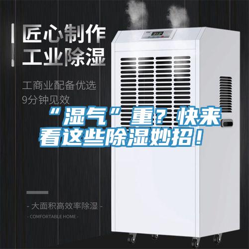“湿气”重？快来看这些除湿妙招！