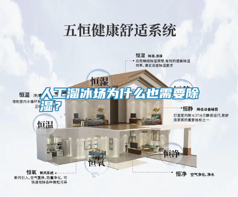 人工溜冰場為什么也需要除濕？