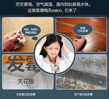 家庭別墅的地下室、衛(wèi)生間、儲(chǔ)物室等該如何除濕？