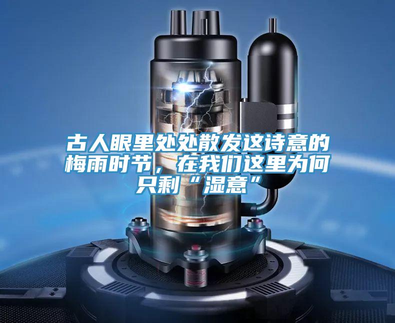古人眼里处处散发这诗意的梅雨时节，在我们这里为何只?！笆狻?></div>
								<div class=